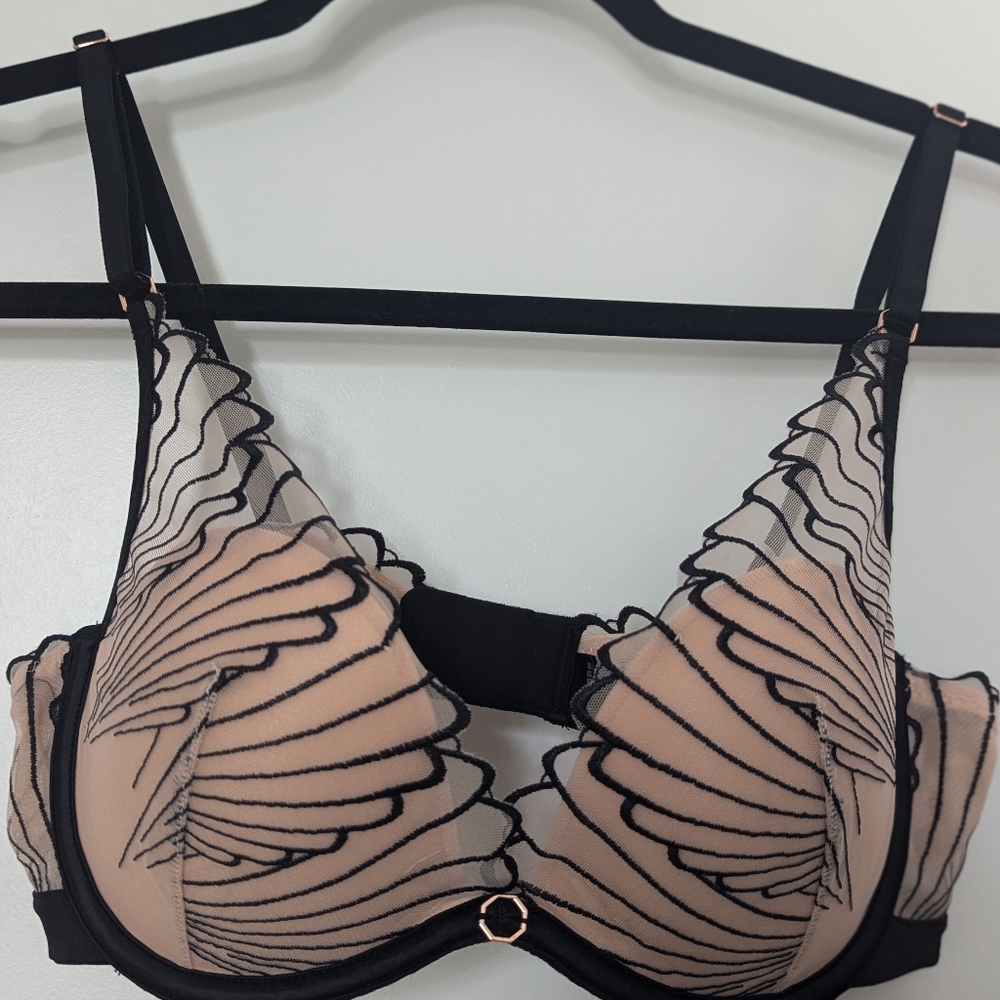 Esotiq Bra, Padded, lace, Size 36C